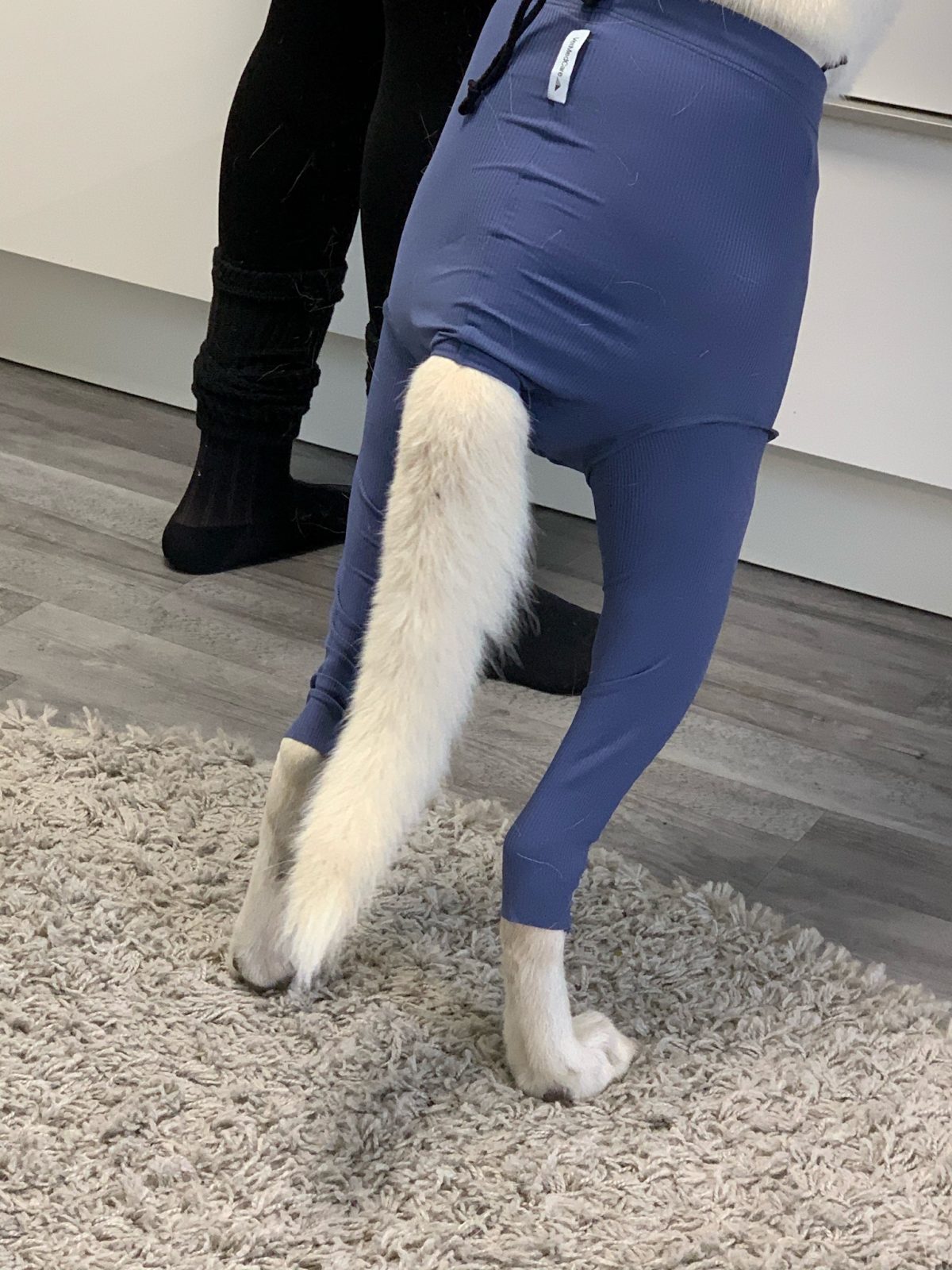 Bild #1 von Axel Lehmann