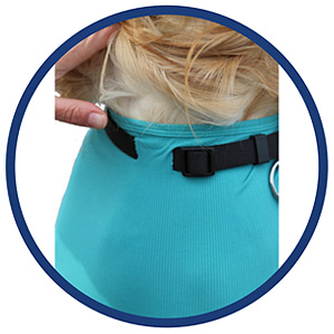 Hundebody Rüde mit Läufen | Ganzkörperbody speziell für den Rüden | VetMedCare® 20 Halsband Einschnitt am Body