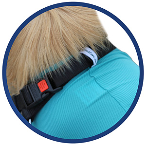 Hundebody Rüde mit Läufen | Ganzkörperbody speziell für den Rüden | VetMedCare® 19 Schlaufe für Halsband am Body