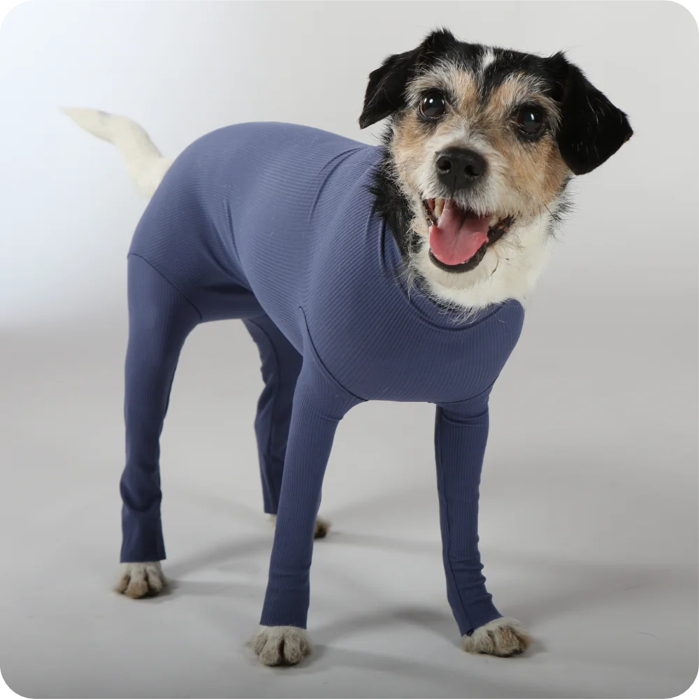 Hundebody für Hündin mit Läufen | Ganzkörperbody speziell für die Hündin | VetMedCare®