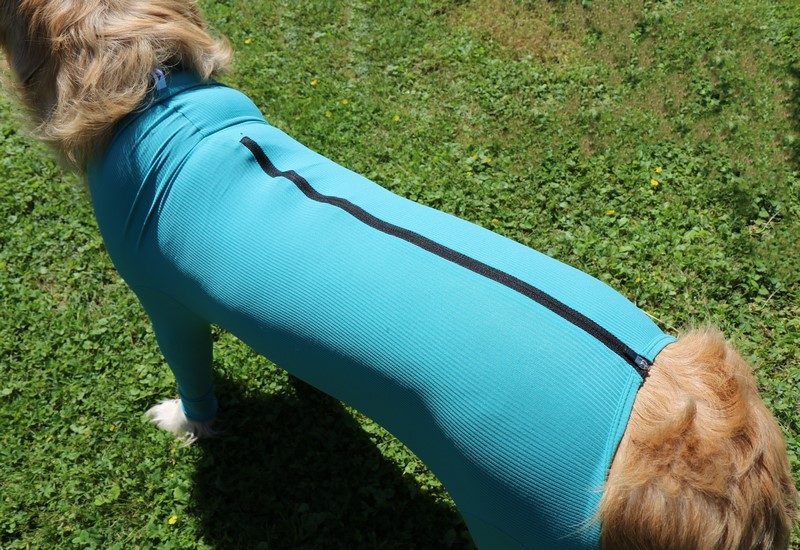 VetMedCare Hundebody mit Reißverschluss und vier Läufen