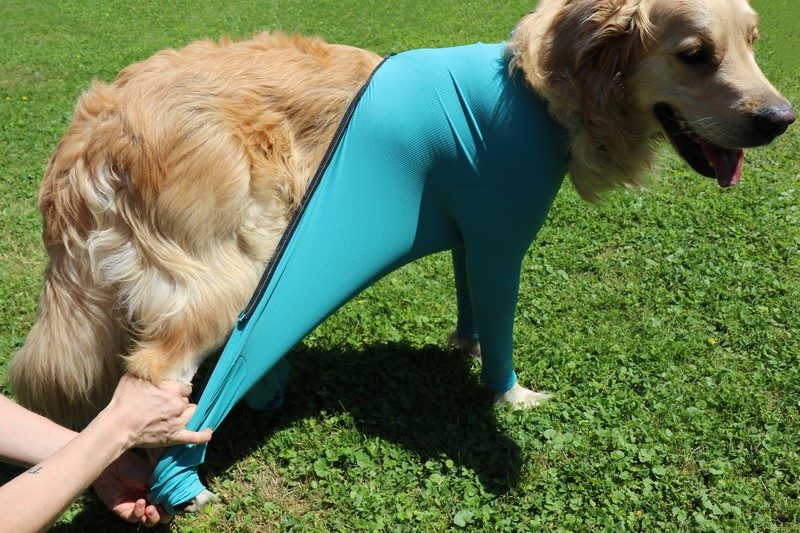 VetMedCare Hundebody mit Reißverschluss und vier Läufen