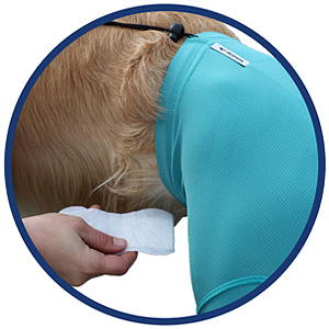 Hunde Sicherheitshosen / Hundewindeln | Dog Safety Pants bei Läufigkeit, Menstruation und Inkontinenz | VetMedCare® 23 Inkontinenz Einlage