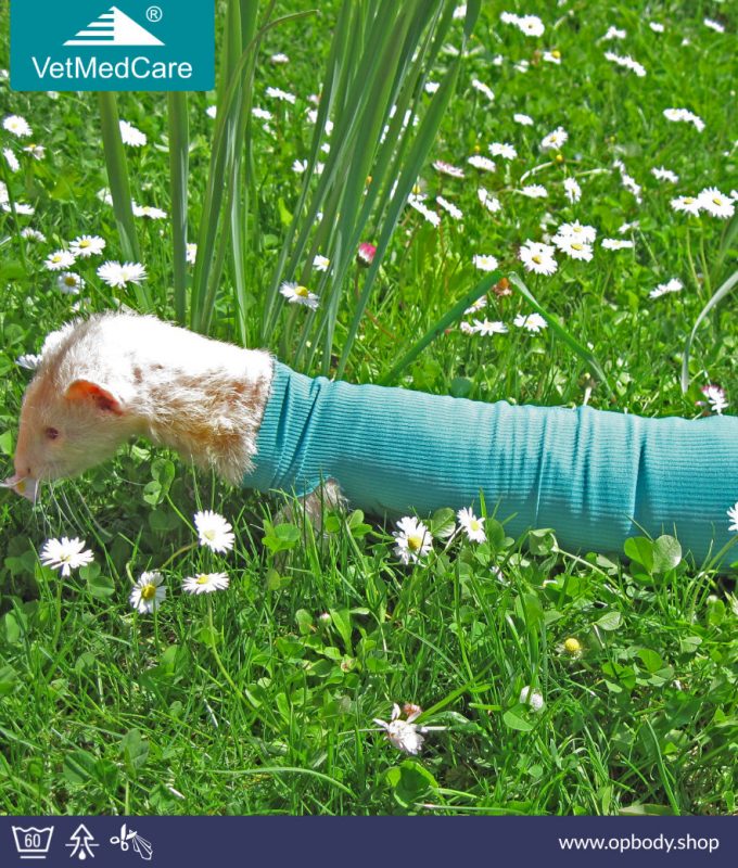 safety tube frettchen