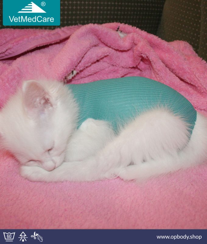 safety tube katzenbaby