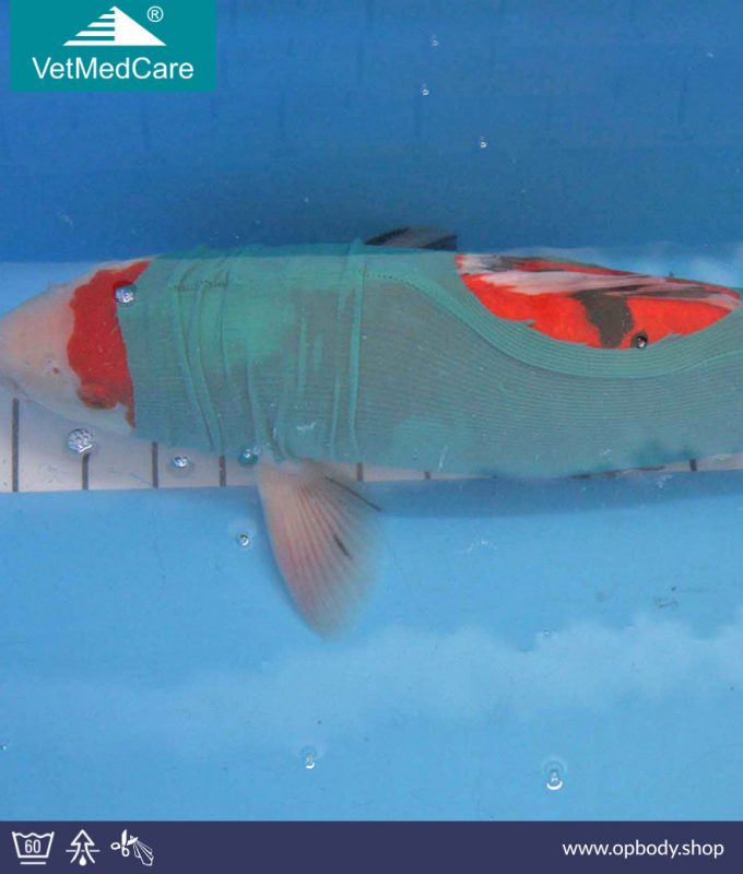 safety tube koi fisch