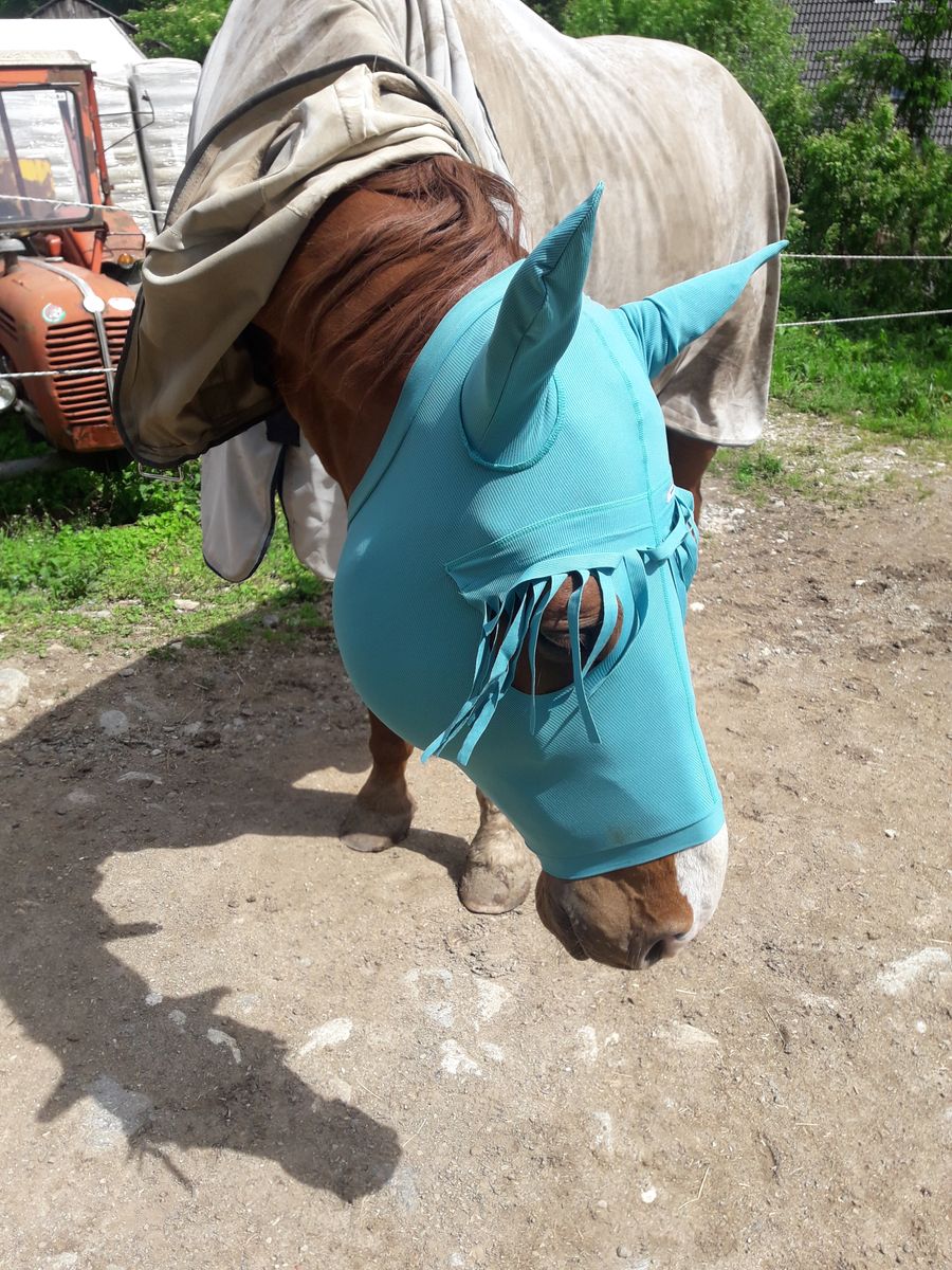 Bild #1 von Kordula