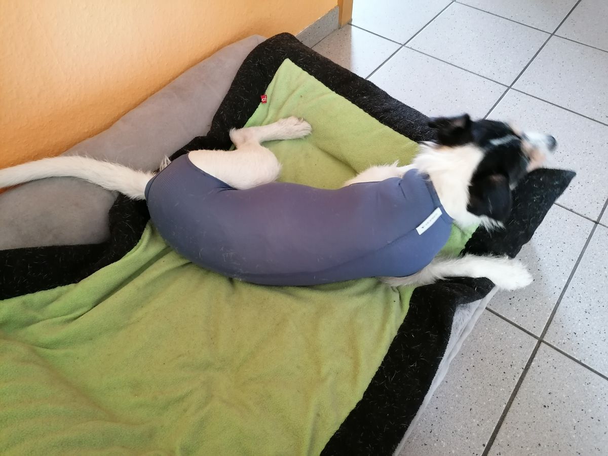 Bild #2 von Barbara E.