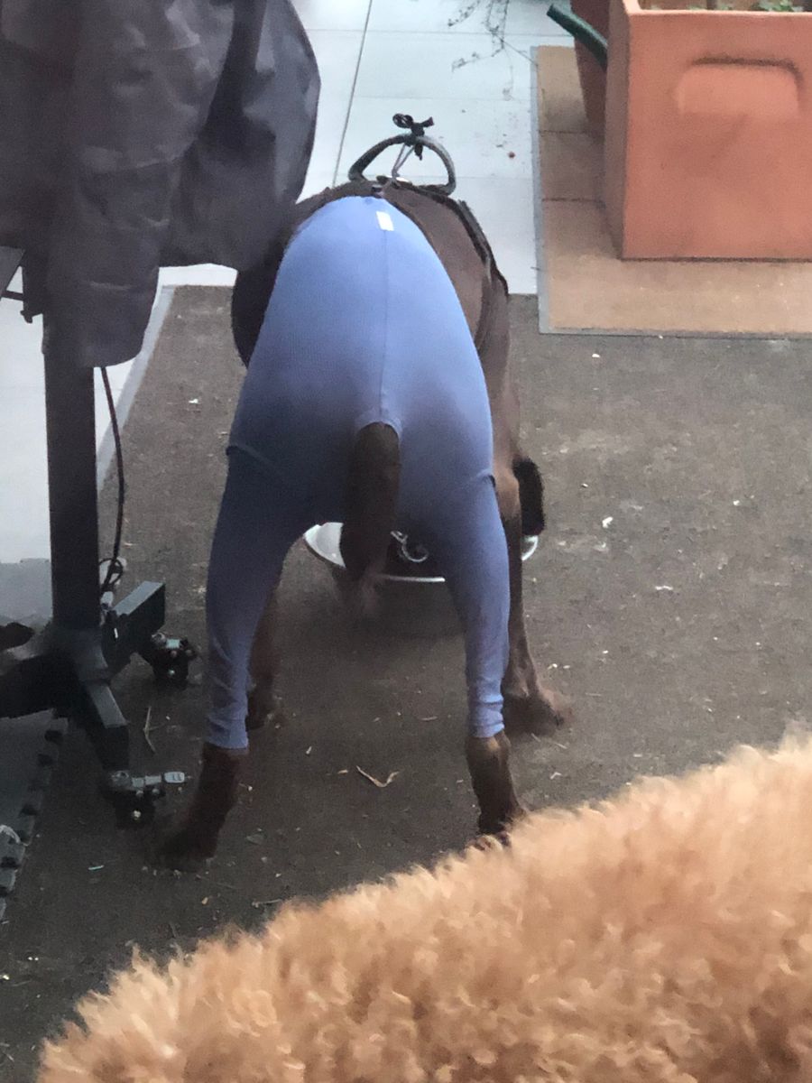 Bild #1 von Margot B.