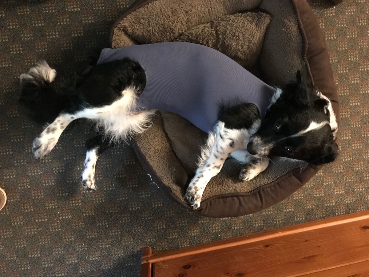 Bild #1 von Ulrike R.