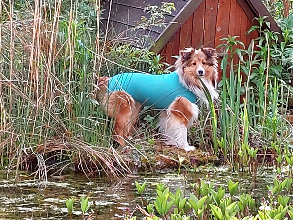 Bild #1 von Agnes E.