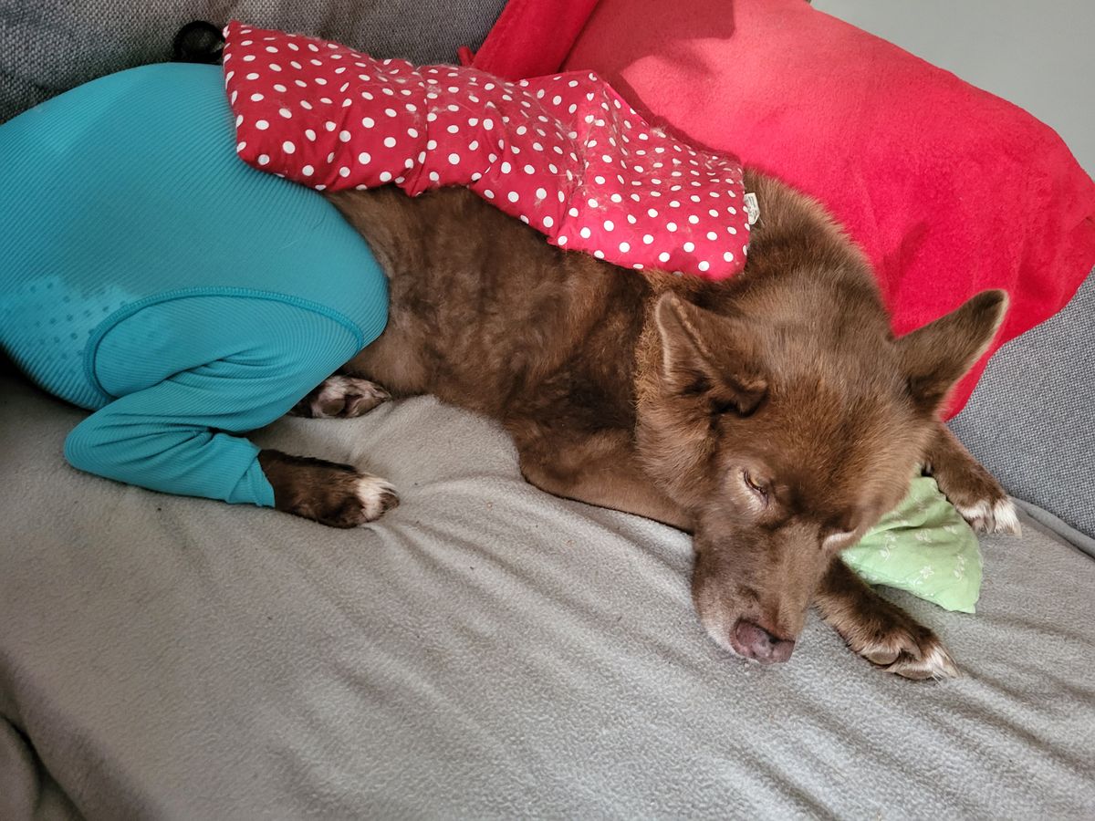 Bild #1 von Jennifer