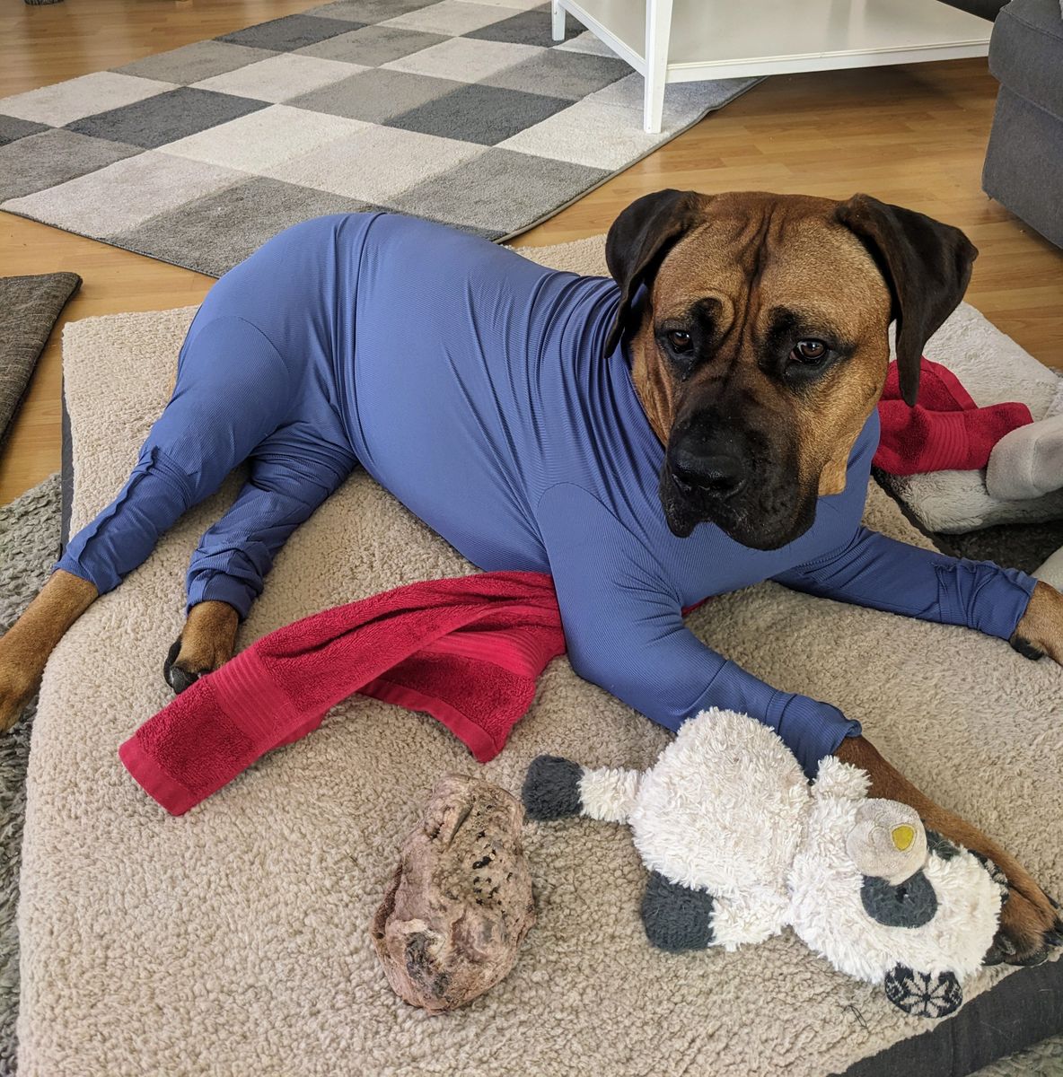 Bild #1 von Laura S.