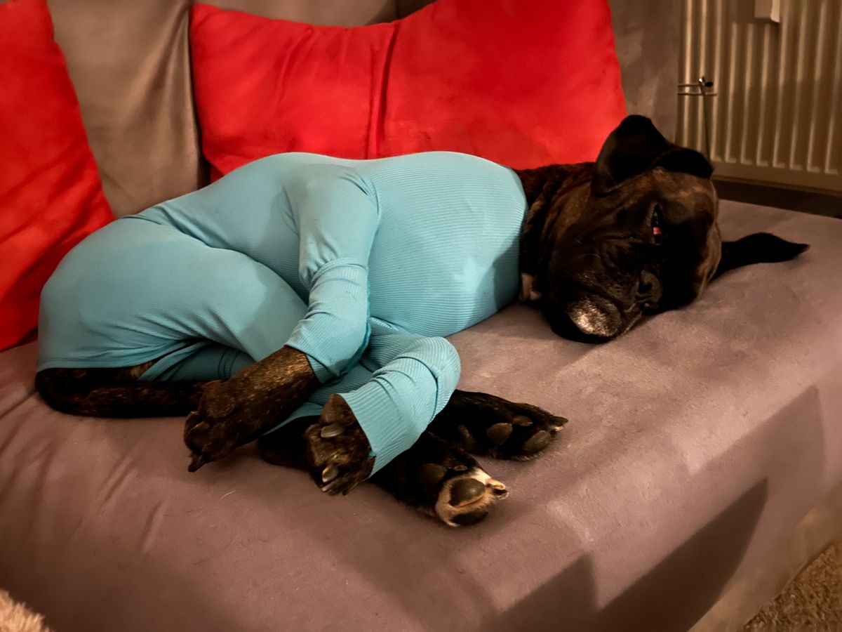 Bild #1 von Claudia S.