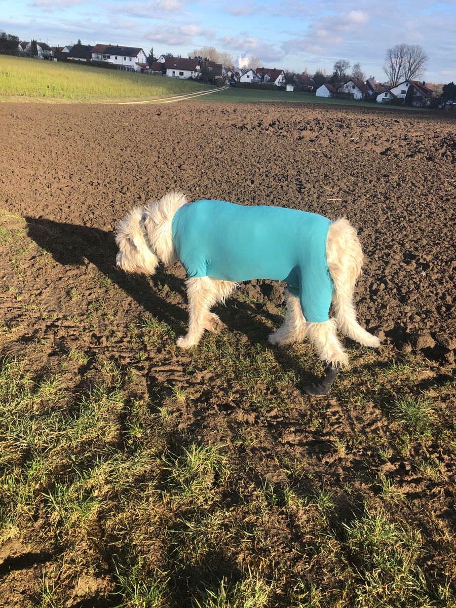 Bild #1 von Sigrid Otto