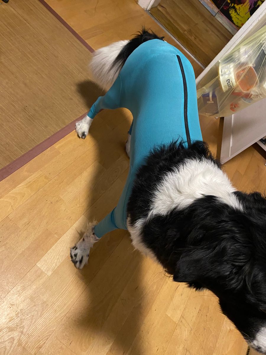 Bild #1 von Arabella G.