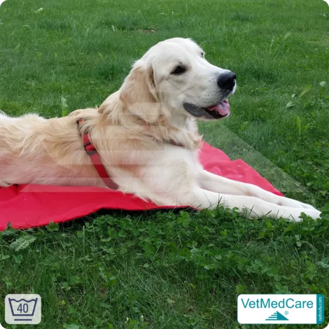 Animal Pad | stark isolierende Hundedecke Rot/Schwarz - auch für das Hundebett und Auto | VetMedCare®