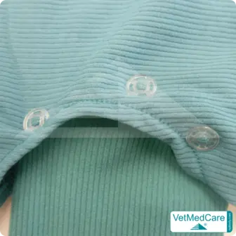 Druckknöpfe Set | transparent | VetMedCare®