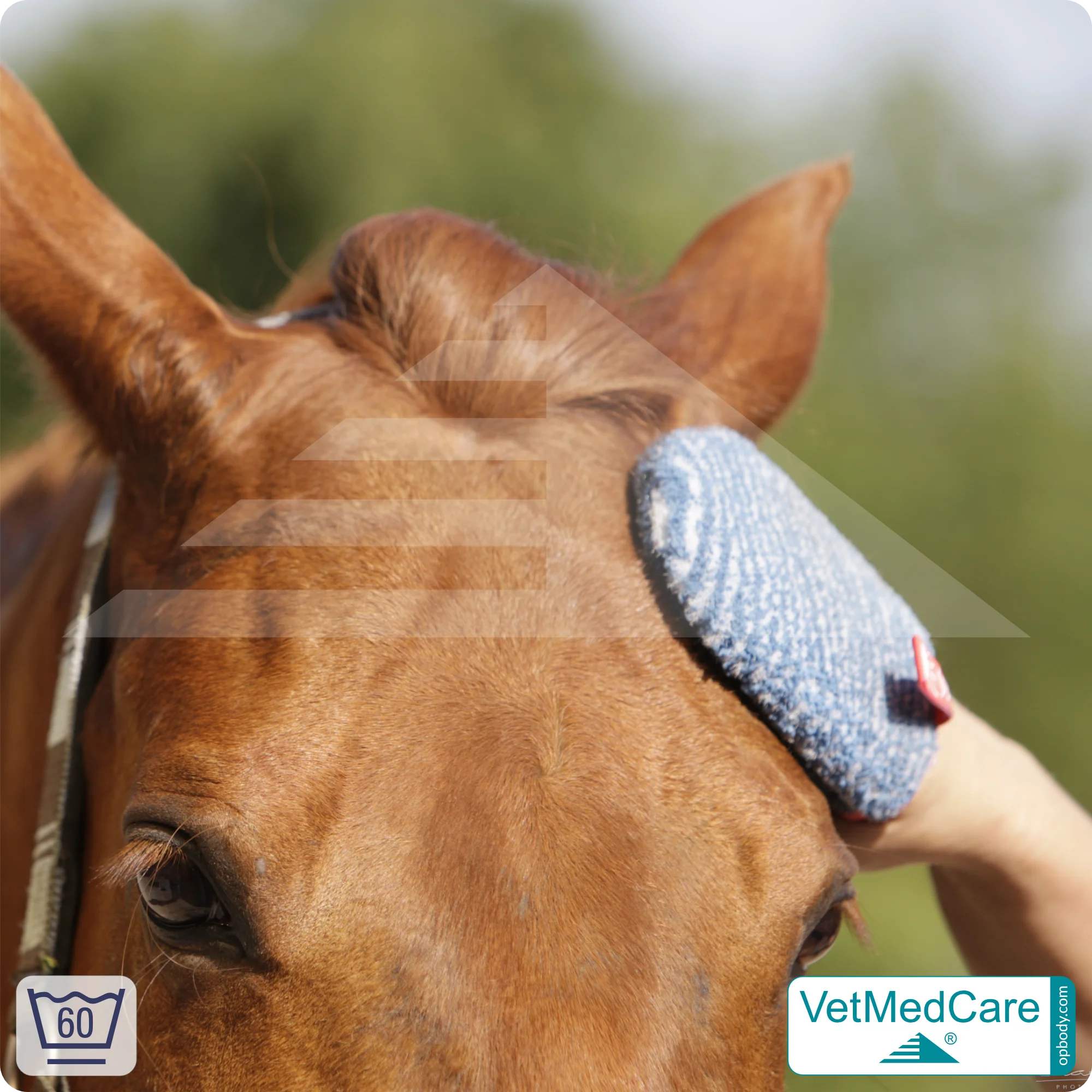 Fellpflegehandschuh & Hundebürste | Fellpflege von Hund, Katze, Pferd und kurzhaariger Kleintiere | Grooming Glove | VetMedCare® 9 Handschuh als Hundebürste zur Fellpflege von Hund, Katze, Pferd und kurzhaariger Kleintiere | Grooming Glove | VetMedCare®