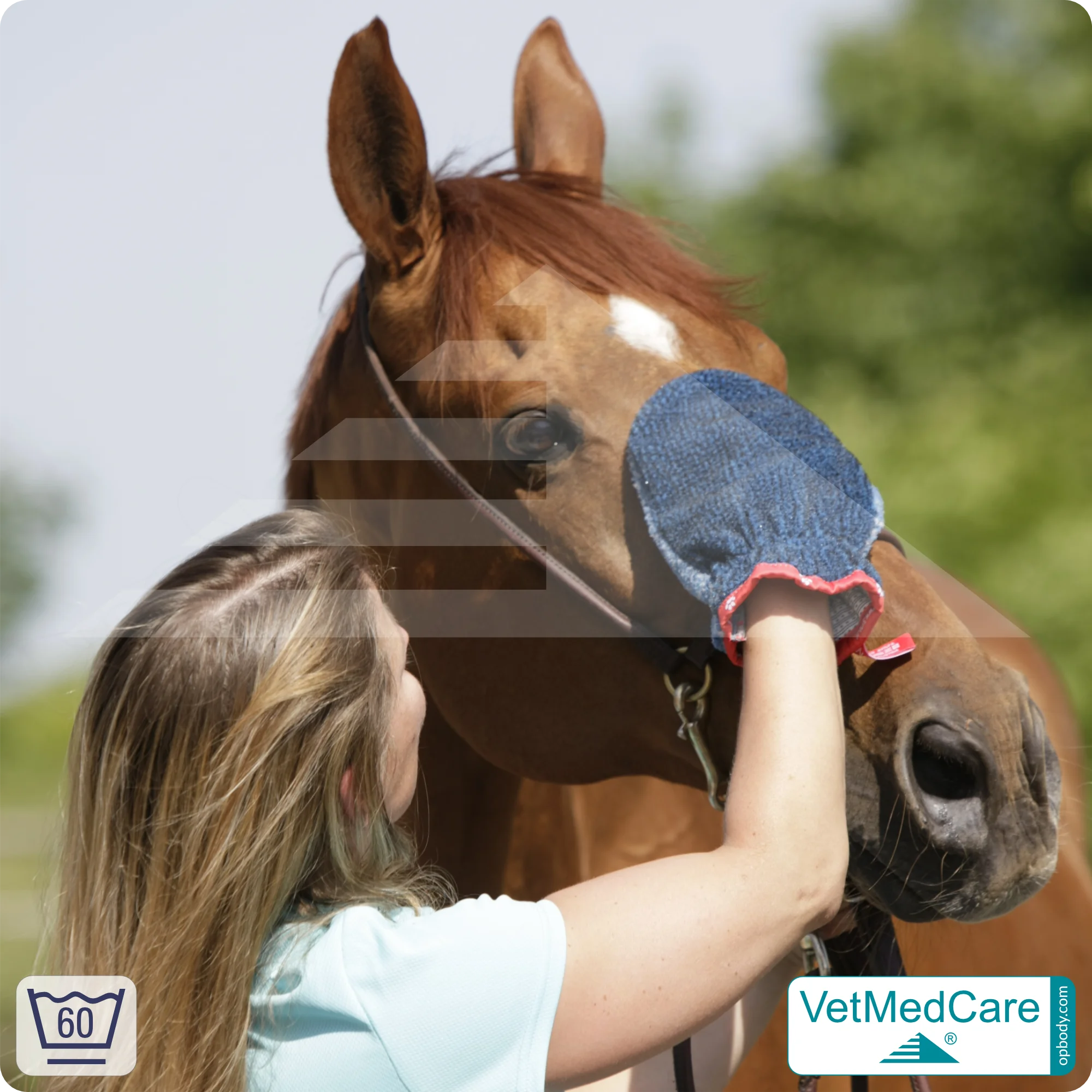 Fellpflegehandschuh & Hundebürste | Fellpflege von Hund, Katze, Pferd und kurzhaariger Kleintiere | Grooming Glove | VetMedCare® 6 Handschuh als Hundebürste zur Fellpflege von Hund, Katze, Pferd und kurzhaariger Kleintiere | Grooming Glove | VetMedCare®