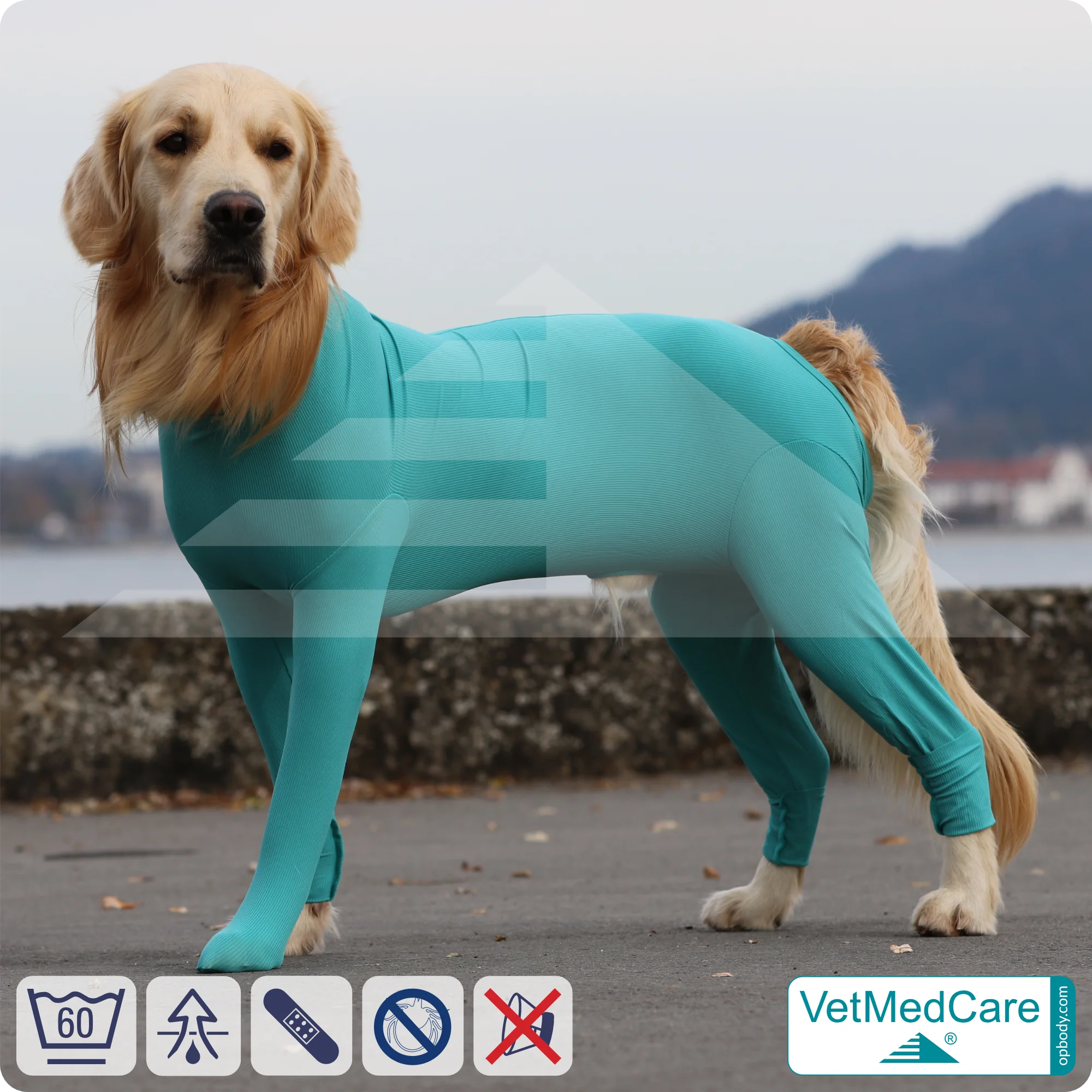 Hundebody Rüde mit Läufen | Ganzkörperbody speziell für den Rüden | VetMedCare® 3 Hundebody Rüde mit Läufen | Ganzkörperbody speziell für den Rüden | VetMedCare®