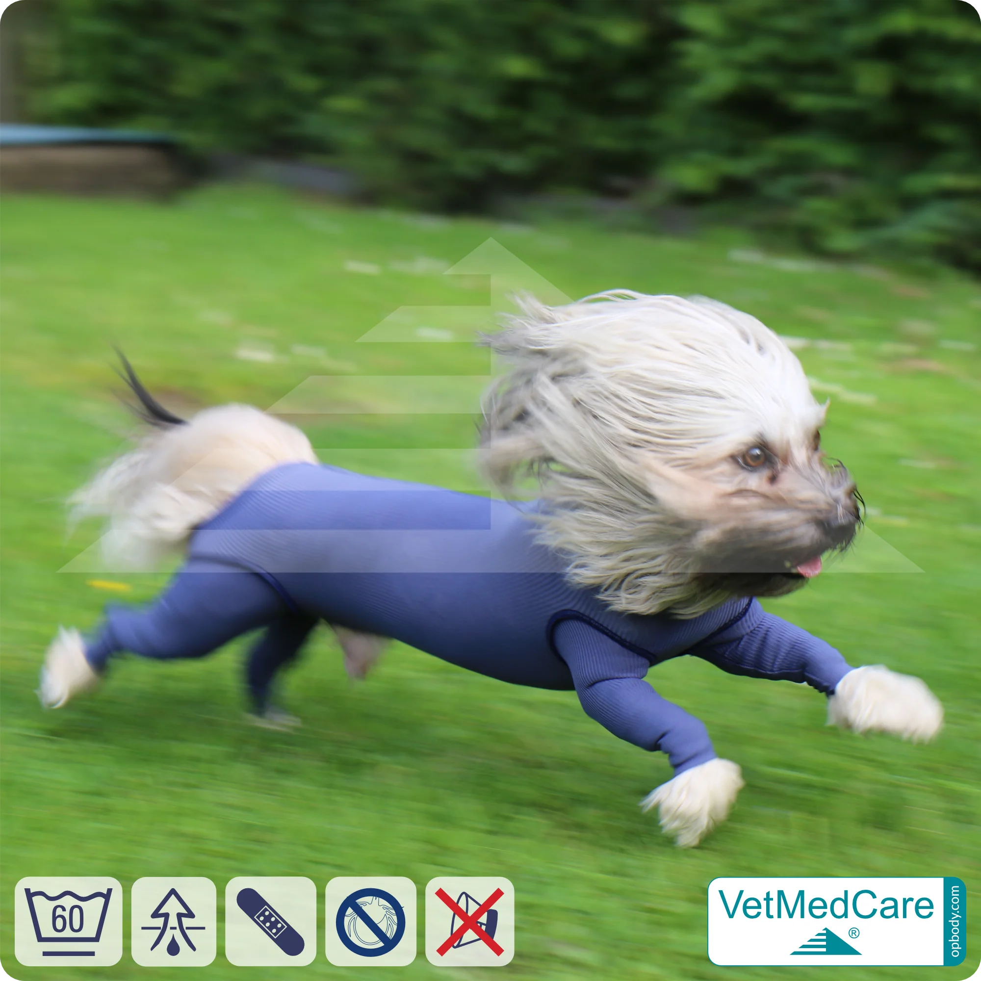Hundebody Rüde mit Läufen | Ganzkörperbody speziell für den Rüden | VetMedCare® 10 Hundebody Rüde mit Läufen | Ganzkörperbody speziell für den Rüden | VetMedCare®
