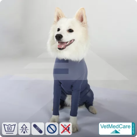 Alternative view of Hundebody Rüde mit Läufen | Ganzkörperbody speziell für den Rüden | VetMedCare®