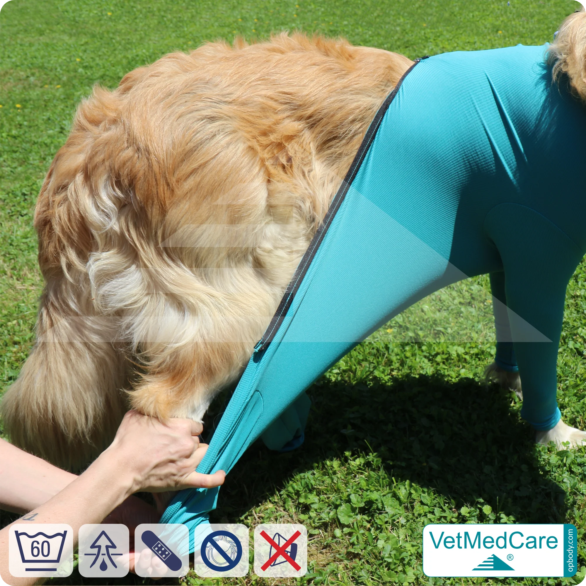 VetMedCare Hundebody mit Reißverschluss | OP-Schutzbody für Hunde nach Operation | Atmungsaktiver Wundschutz & Komfort 9 Hundebody mit Beinen + Reißverschluss | Hunde Body - Ganzkörperbody mit 4 Beinen | VetMedCare®