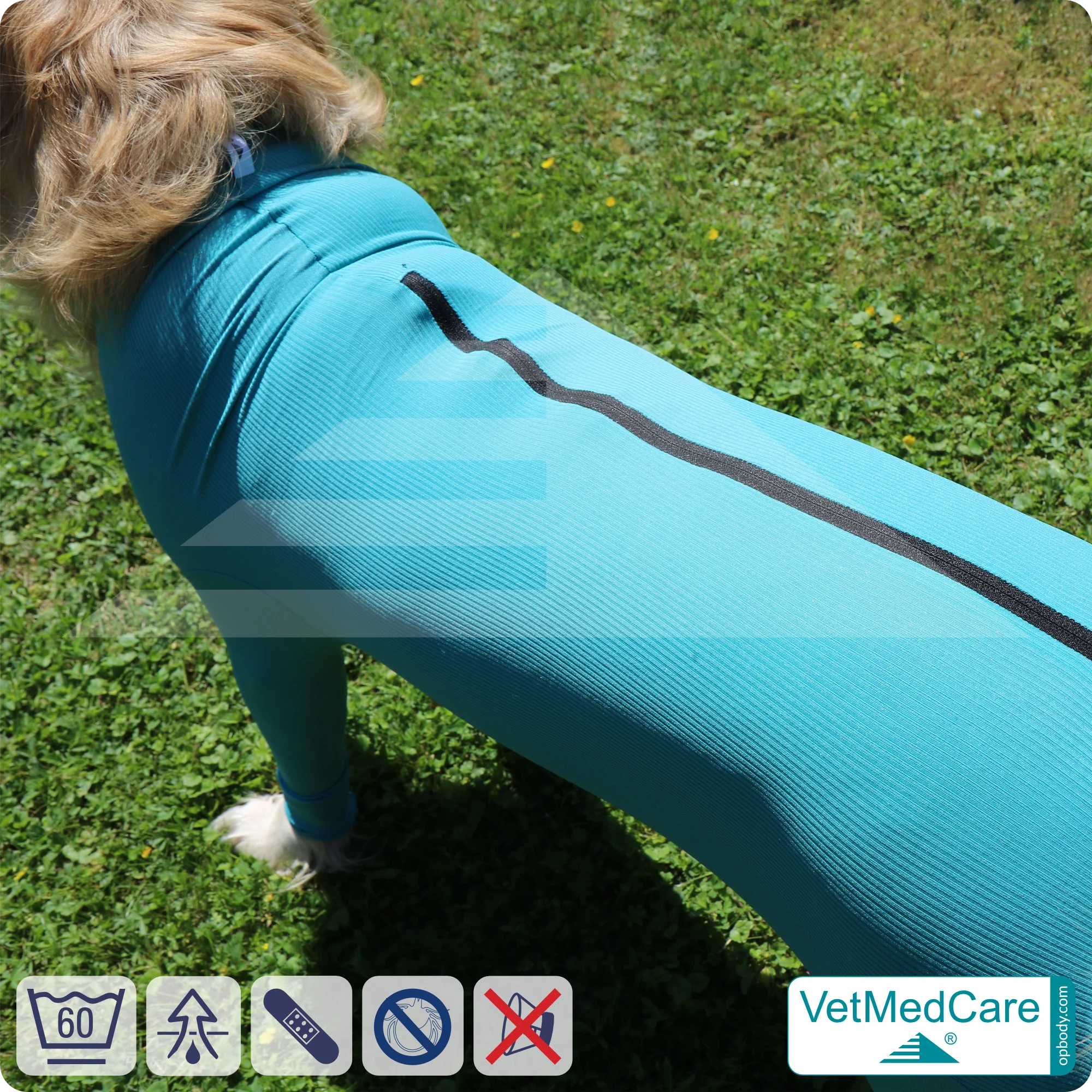 VetMedCare Hundebody mit Reißverschluss | OP-Schutzbody für Hunde nach Operation | Atmungsaktiver Wundschutz & Komfort 5 Hundebody mit Beinen + Reißverschluss | Hunde Body - Ganzkörperbody mit 4 Beinen | VetMedCare®