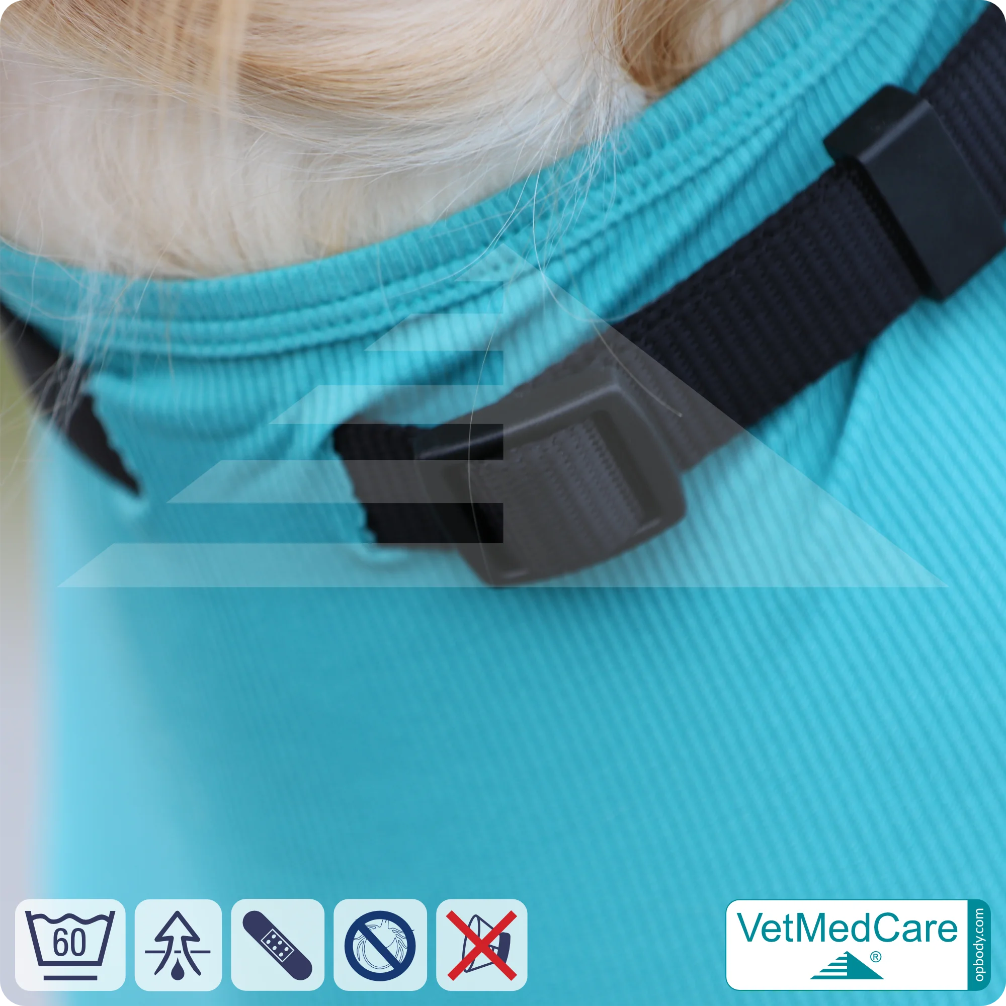 Hundebody Rüde mit Läufen | Ganzkörperbody speziell für den Rüden | VetMedCare® 6 Hundebody mit Beinen + Reißverschluss | Hunde Body - Ganzkörperbody mit 4 Beinen | VetMedCare®