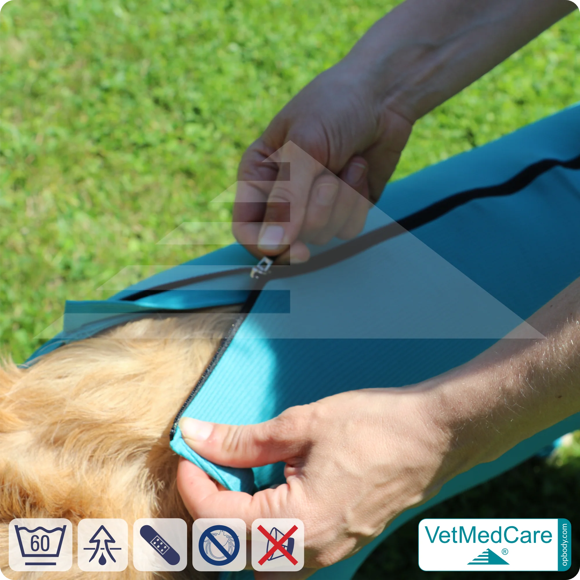 VetMedCare Hundebody mit Reißverschluss | OP-Schutzbody für Hunde nach Operation | Atmungsaktiver Wundschutz & Komfort 7 Hundebody mit Beinen + Reißverschluss | Hunde Body - Ganzkörperbody mit 4 Beinen | VetMedCare®