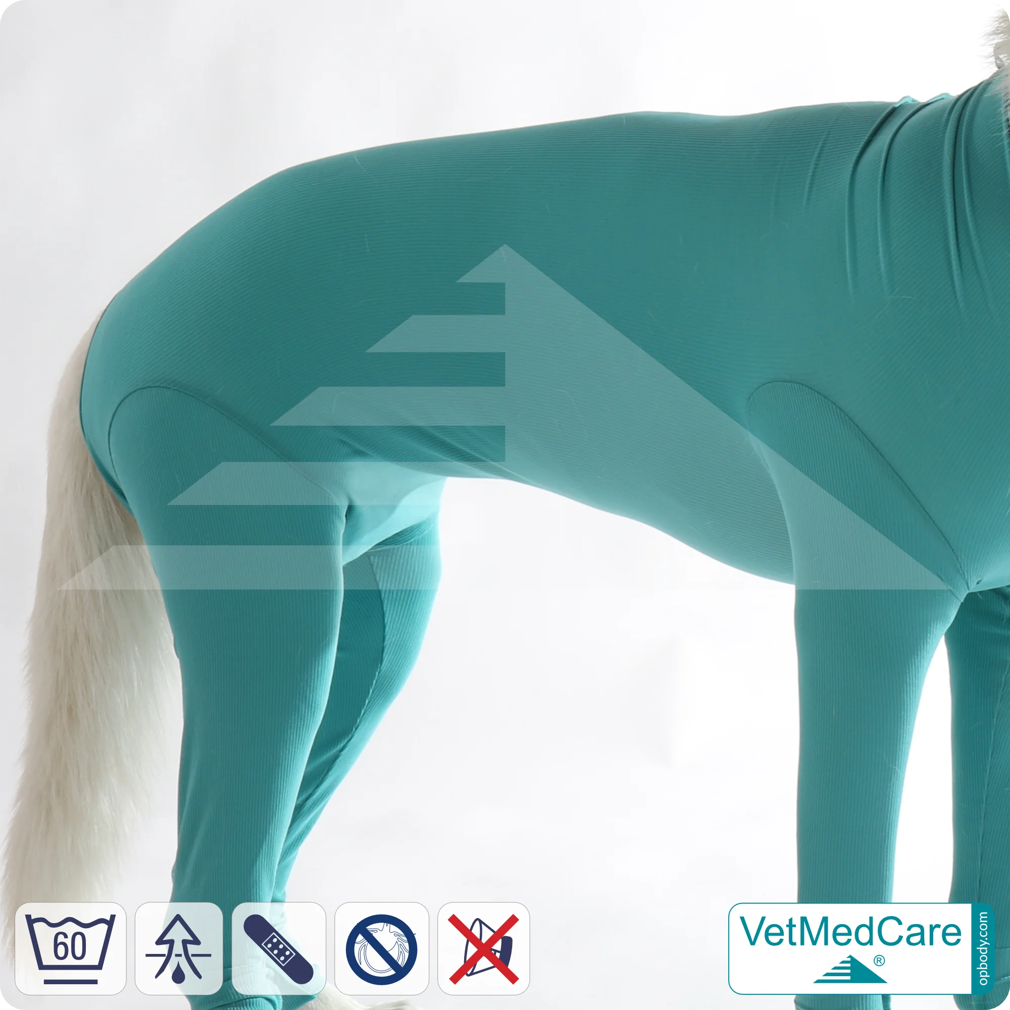 Hundebody für Hündin mit Läufen | Ganzkörperbody speziell für die Hündin | VetMedCare® 8 Hundebody für Hündin mit Läufen | Ganzkörperbody speziell für die Hündin | VetMedCare®