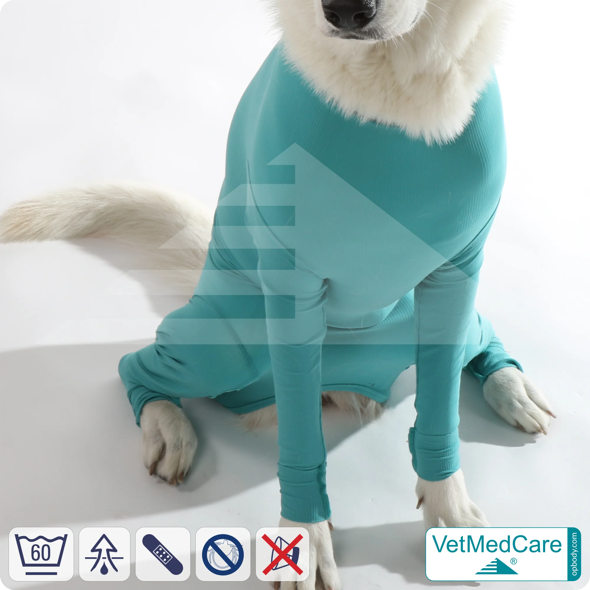Hundebody für Hündin mit Läufen | Ganzkörperbody speziell für die Hündin | VetMedCare® 9 Hundebody für Hündin mit Läufen | Ganzkörperbody speziell für die Hündin | VetMedCare®