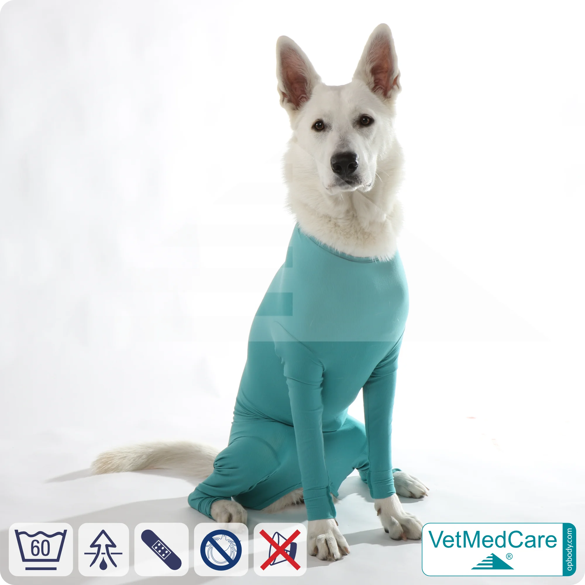 Hundebody für Hündin mit Läufen | Ganzkörperbody speziell für die Hündin | VetMedCare® 3 Hundebody für Hündin mit Läufen | Ganzkörperbody speziell für die Hündin | VetMedCare®