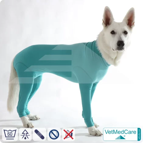 Hundebody für Hündin mit Läufen | Ganzkörperbody speziell für die Hündin | VetMedCare® 14 Hundebody für Hündin mit Läufen | Ganzkörperbody speziell für die Hündin | VetMedCare®