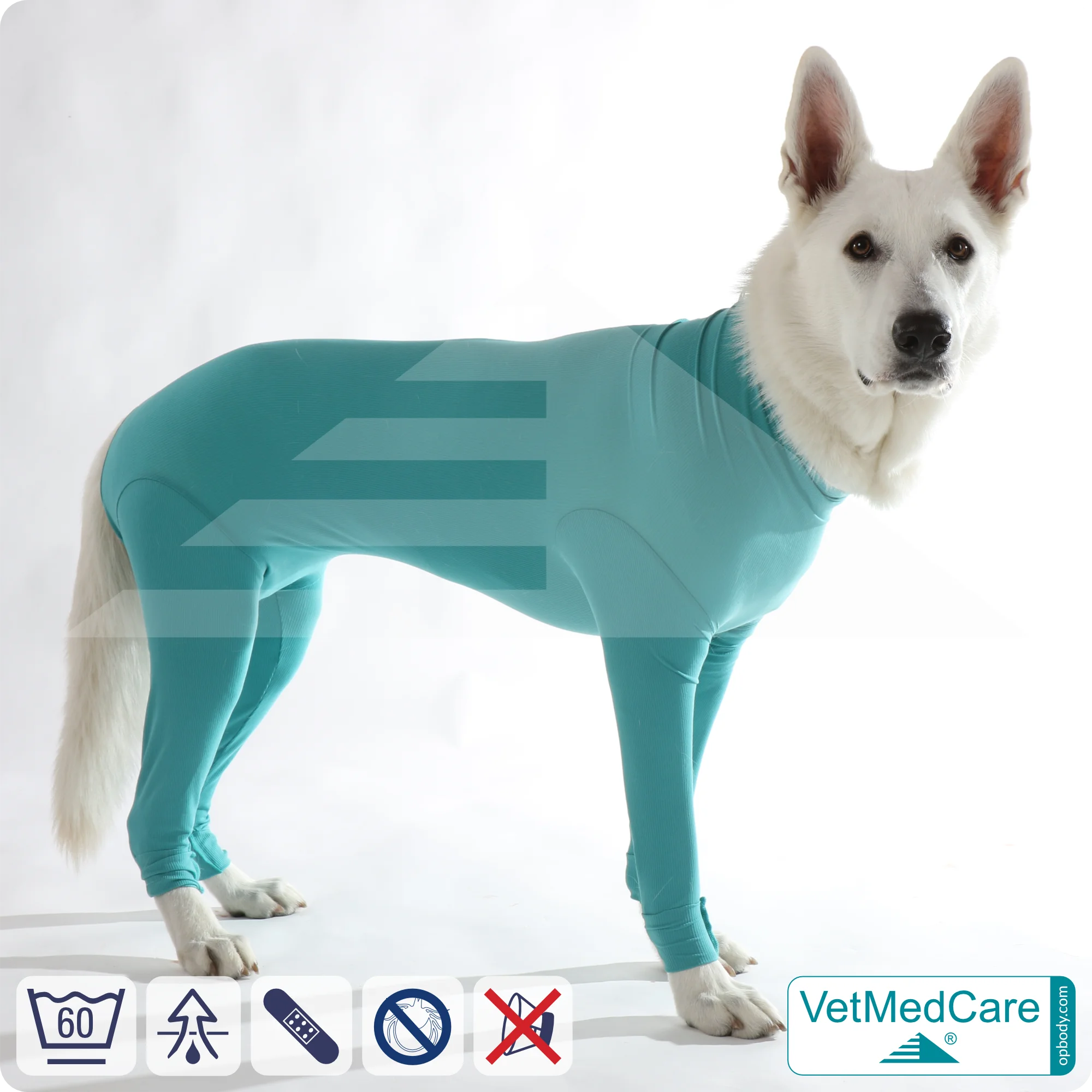 Hundebody für Hündin mit Läufen | Ganzkörperbody speziell für die Hündin | VetMedCare® 5 Hundebody für Hündin mit Läufen | Ganzkörperbody speziell für die Hündin | VetMedCare®