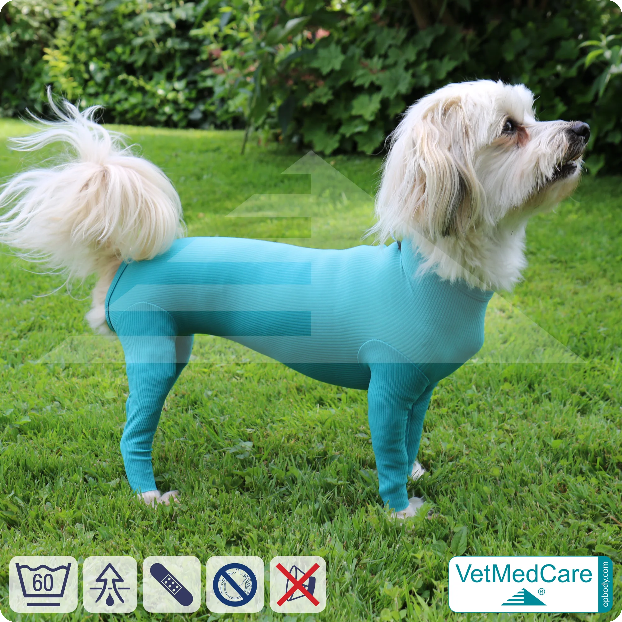 Hundebody für Hündin mit Läufen | Ganzkörperbody speziell für die Hündin | VetMedCare® 12 Hundebody für Hündin mit Läufen | Ganzkörperbody speziell für die Hündin | VetMedCare®
