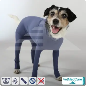 Hundebody für Hündin mit Läufen | Ganzkörperbody speziell für die Hündin | VetMedCare®