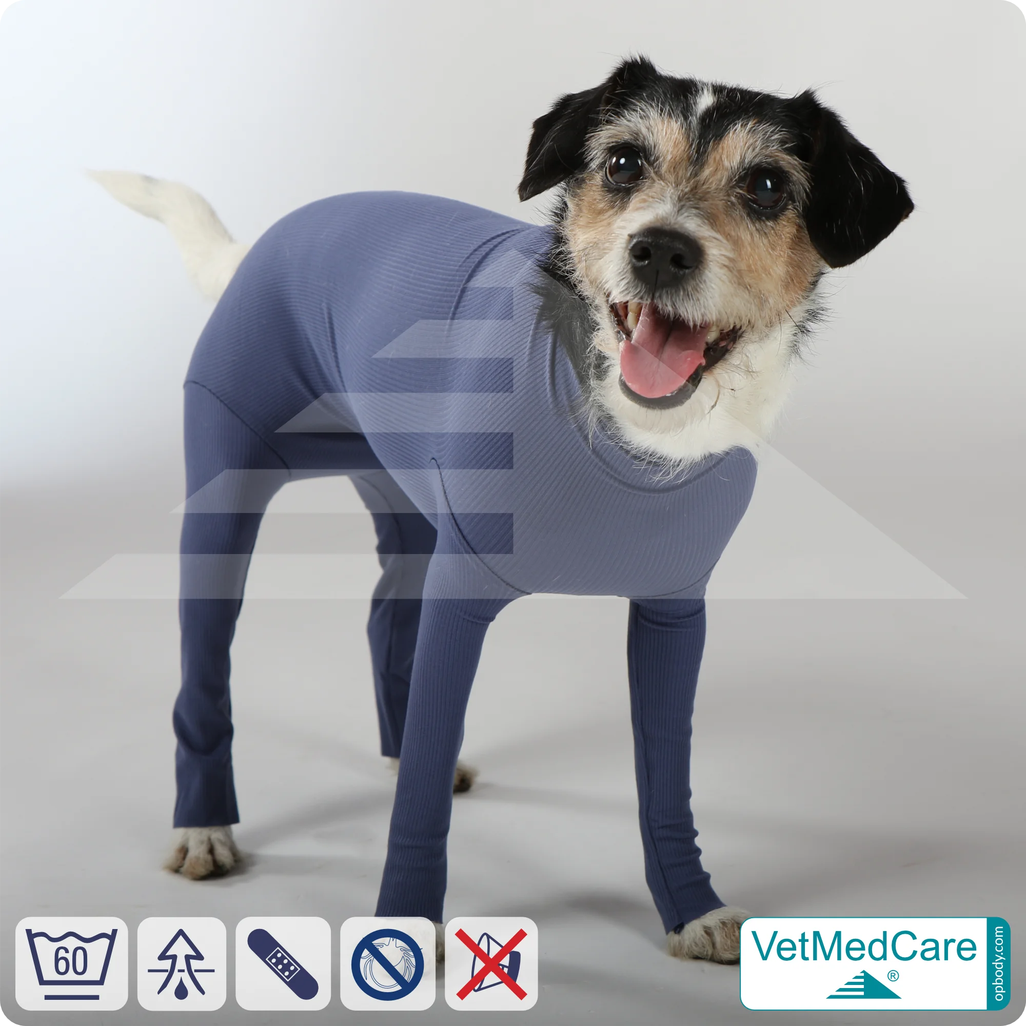 Hundebody für Hündin mit Läufen | Ganzkörperbody speziell für die Hündin | VetMedCare® 4 Hundebody für Hündin mit Läufen | Ganzkörperbody speziell für die Hündin | VetMedCare®