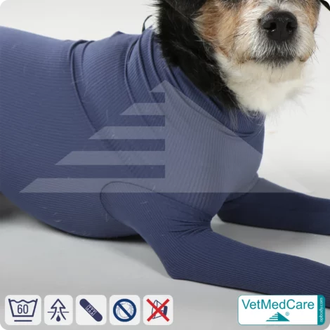 Hundebody für Hündin mit Läufen | Ganzkörperbody speziell für die Hündin | VetMedCare® 16 Hundebody für Hündin mit Läufen | Ganzkörperbody speziell für die Hündin | VetMedCare®