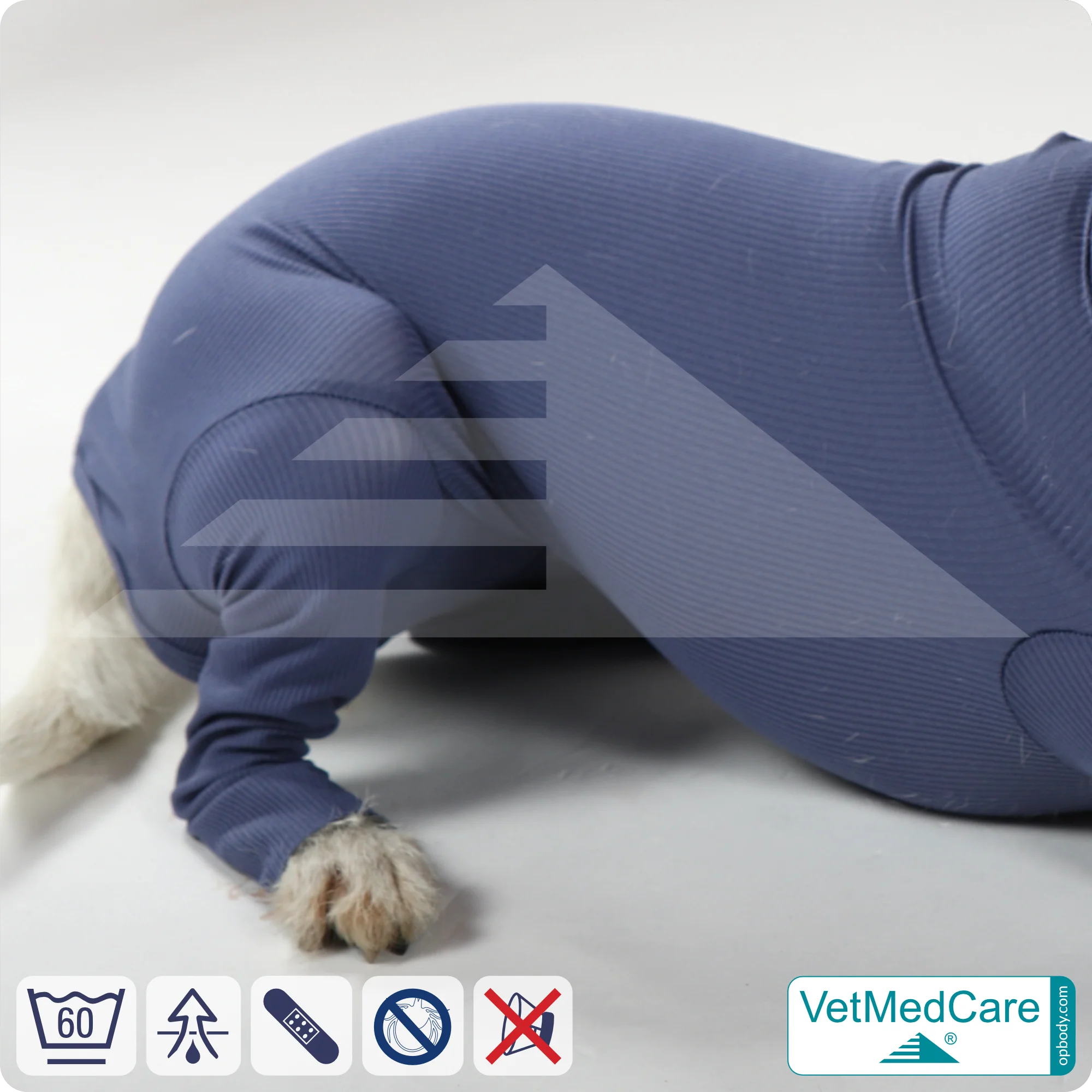 Hundebody für Hündin mit Läufen | Ganzkörperbody speziell für die Hündin | VetMedCare® 10 Hundebody für Hündin mit Läufen | Ganzkörperbody speziell für die Hündin | VetMedCare®