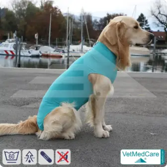 Hund OP Body - Hund Body Female | speziell für die Hündin | VetMedCare® 15 Hund OP Hundebody Female | Body speziell für die Hündin | VetMedCare®