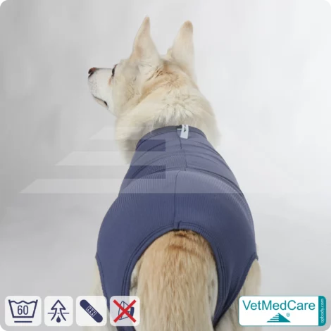 Hund OP Hundebody Female | speziell für die Hündin | VetMedCare®