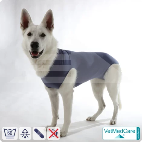 Hund OP Hundebody Female | speziell für die Hündin | VetMedCare®