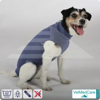 Hund OP Body - Hund Body Female | speziell für die Hündin | VetMedCare® 13 Hund OP Hundebody Female | Body speziell für die Hündin | VetMedCare®