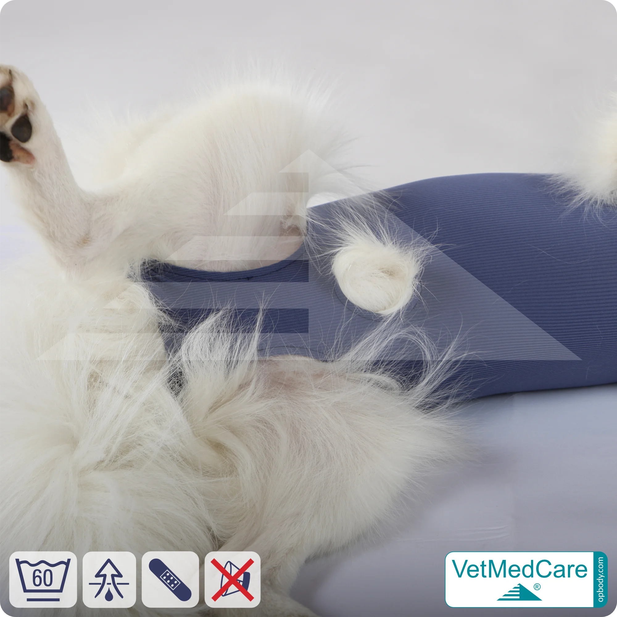 Hund OP Hundebody Male | speziell für den Rüden | VetMedCare® 9 Hund OP Hundebody Male | speziell für den Rüden | VetMedCare®