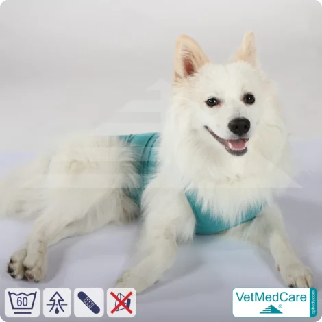 Hund OP Hundebody Male | speziell für den Rüden | VetMedCare® 17 Hund OP Hundebody Male | speziell für den Rüden | VetMedCare®