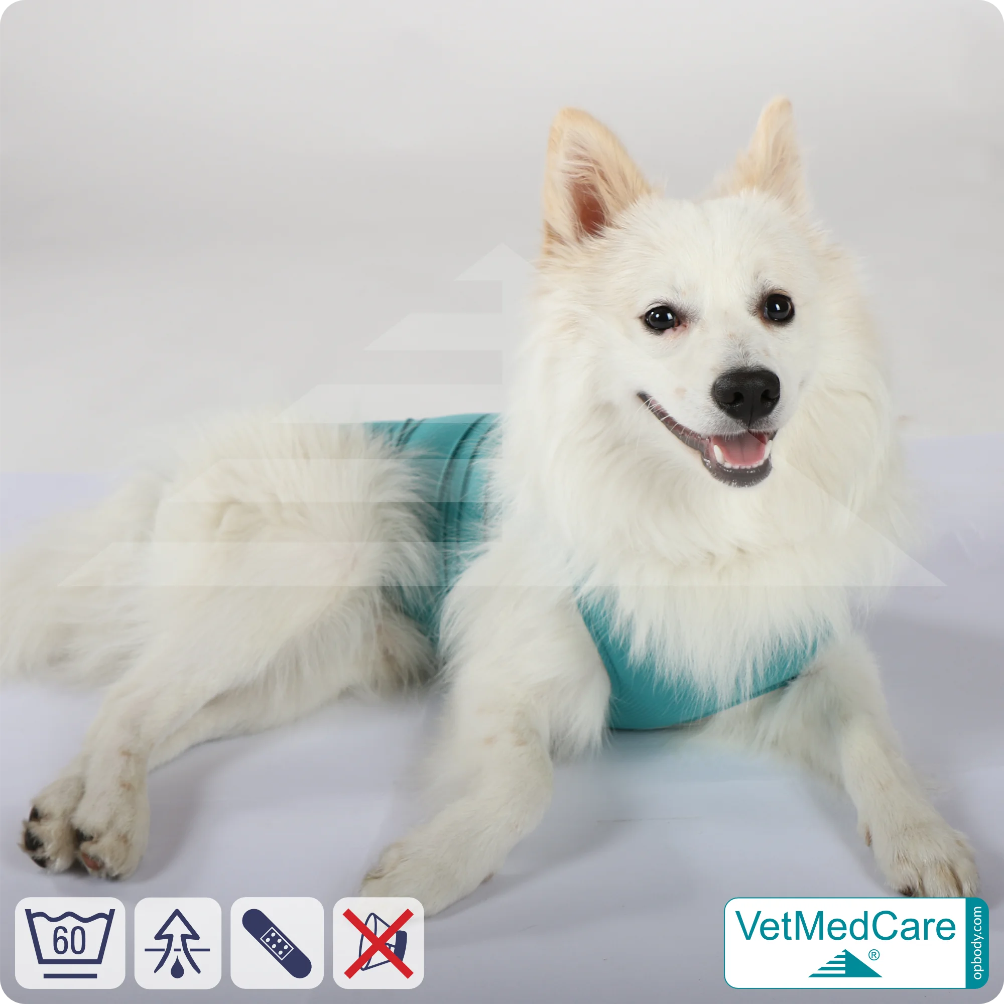 Hund OP Hundebody Male | speziell für den Rüden | VetMedCare® 10 Hund OP Hundebody Male | speziell für den Rüden | VetMedCare®