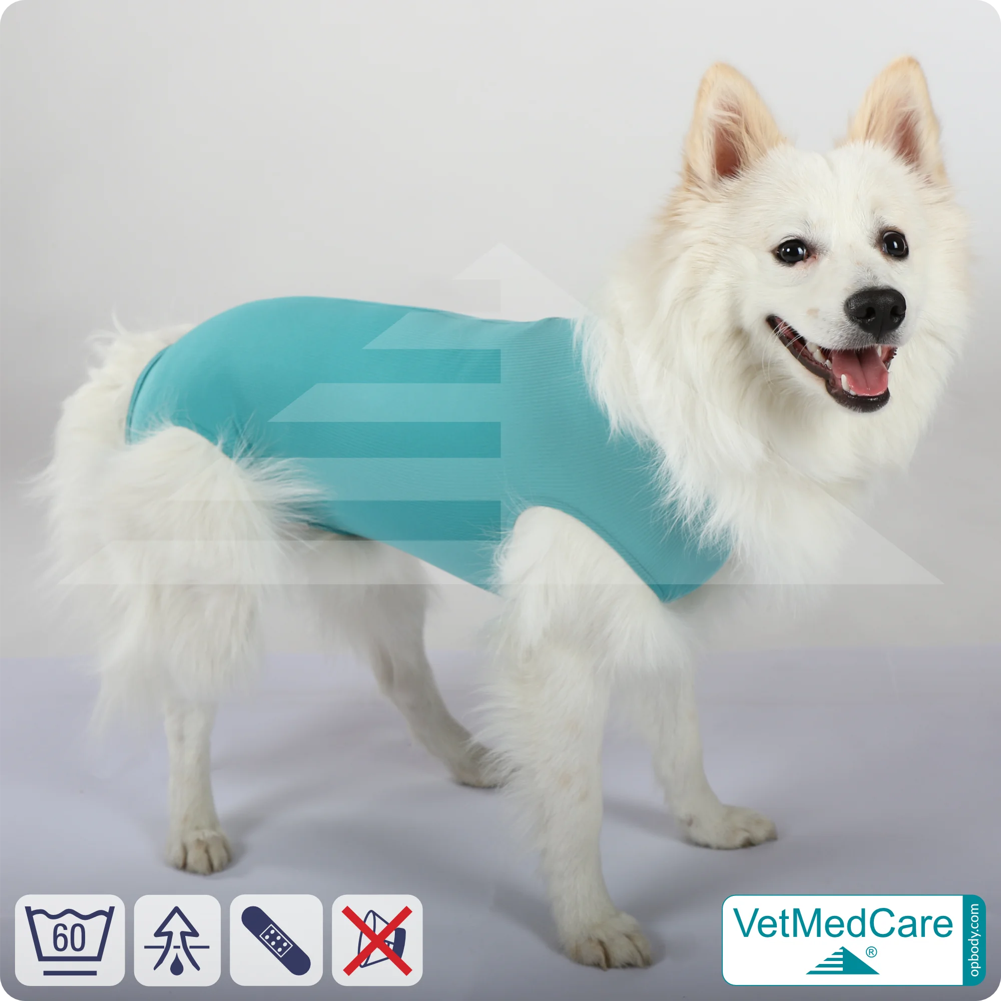 Hund OP Hundebody Male | speziell für den Rüden | VetMedCare® 3 Hund OP Hundebody Male | Body speziell für den Rüden | VetMedCare®