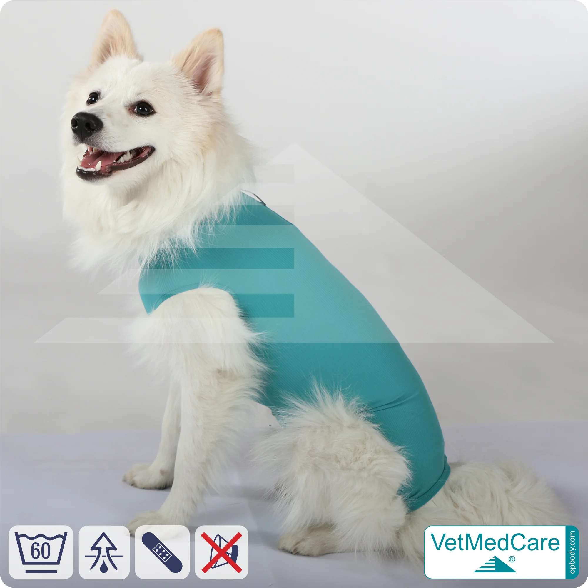 Hund OP Hundebody Male | speziell für den Rüden | VetMedCare® 5 Hund OP Hundebody Male | speziell für den Rüden | VetMedCare®